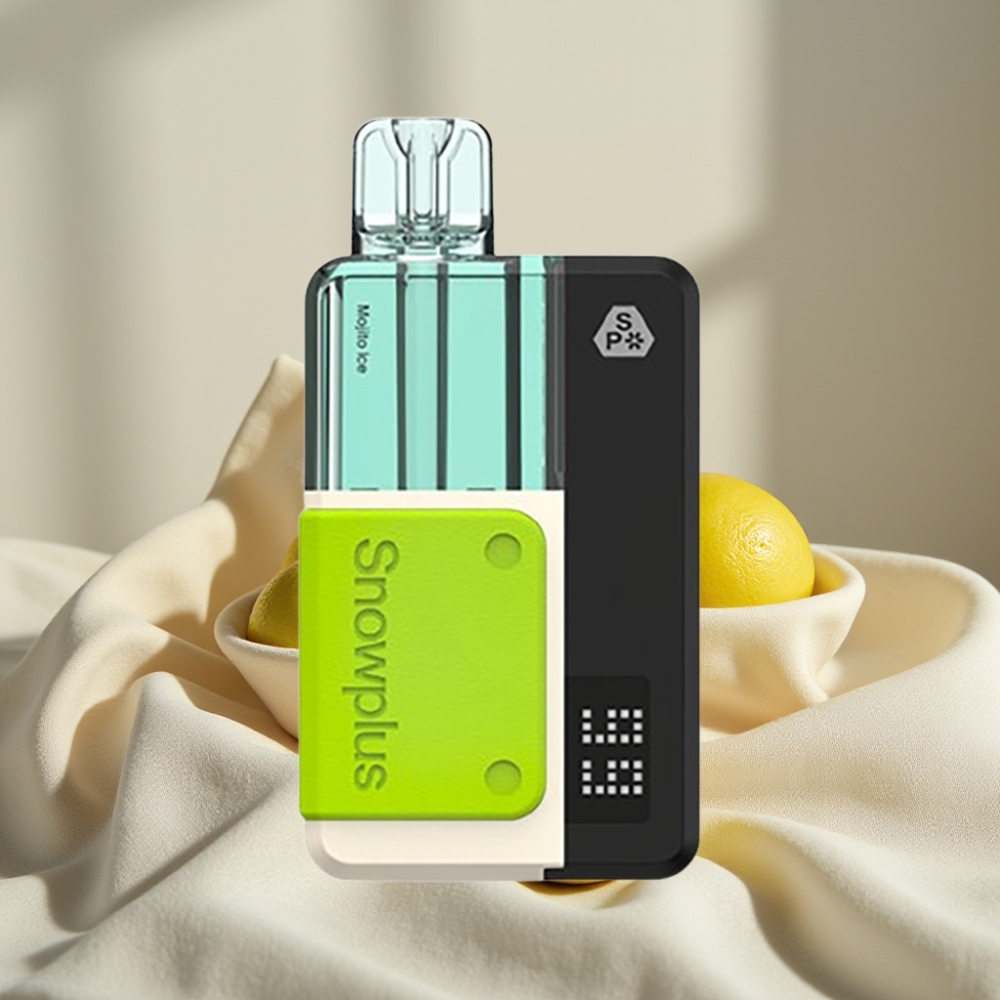 Snowplus Swift 5000 Puffs Pod Kit Mojito Gheață 1000mAh Dual Mesh